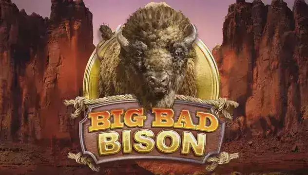 Fonsport24 virtual sports gaming interface displaying interactive match simulation with real-time strategy analysis tools and performance tracking features for analytical learning