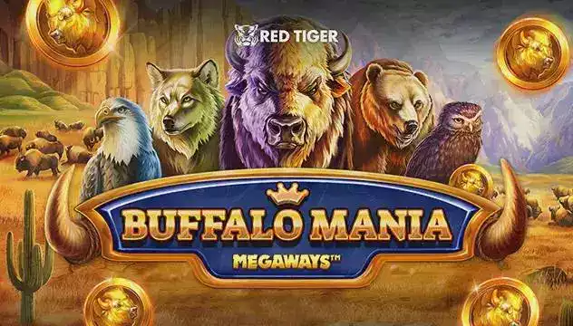 Fonsport24 virtual sports gaming interface displaying interactive match simulation with real-time strategy analysis tools and performance tracking features for analytical learning