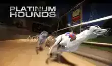 Fonsport24 virtual sports detailed match interface showcasing team strategies and tactical match simulations for competitive sports analytical development and performance enhancement